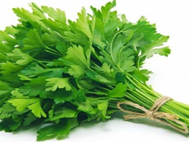 كرفس من ريف 100 جرام