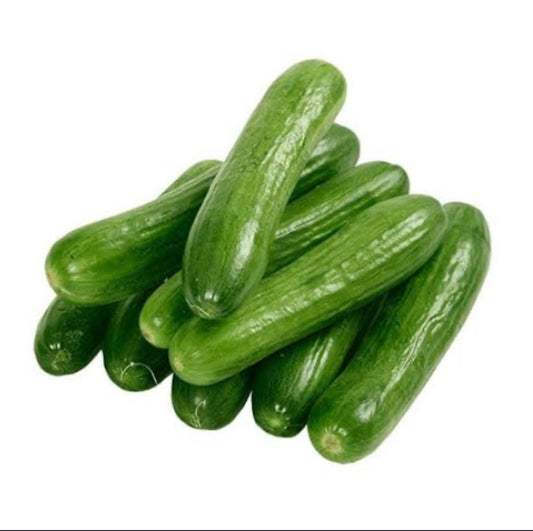 ريف خيار بلدي 500 جرام