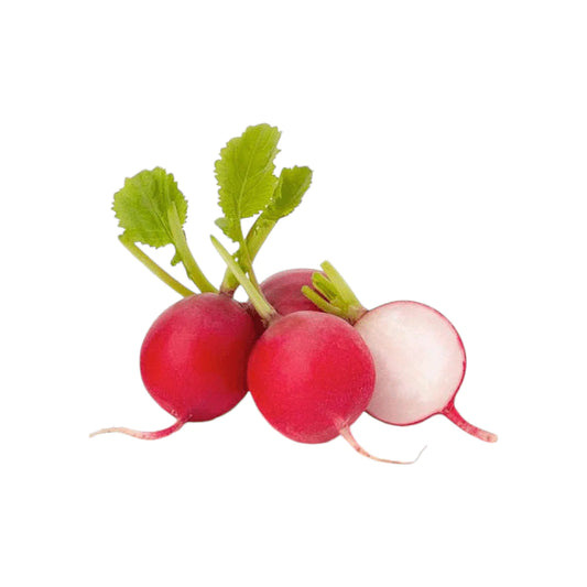 فجل احمر من ريف 1 كجم