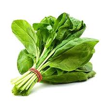 ريف سبانخ 1 قطعه