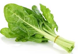 ريف سلق 1 قطعه